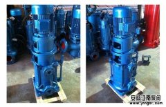 立式多級(jí)離心泵試車(chē)及其驗(yàn)收步驟