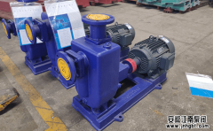 簡述化工自吸泵產(chǎn)品的特點(diǎn)優(yōu)勢